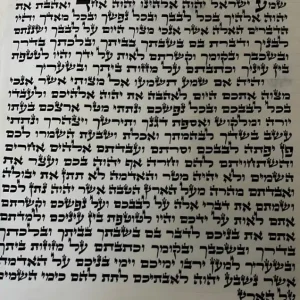 mezuzah-ashkenazi-C003