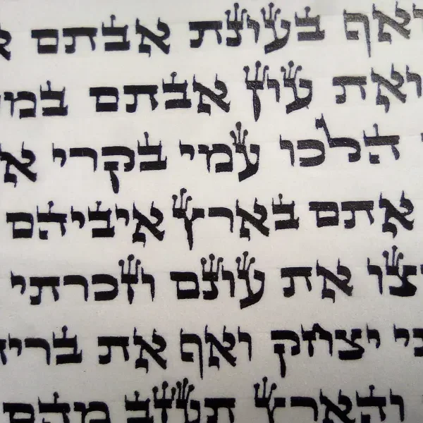 sefer-torah-beit-yosef-D018.webp